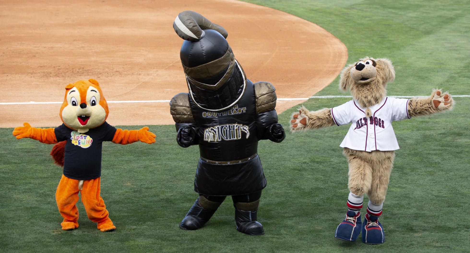 Saltdogs vs Sioux Falls , 8.11